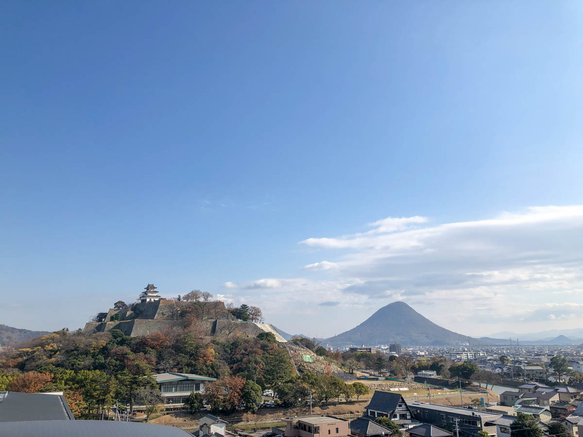 丸亀城と飯野山