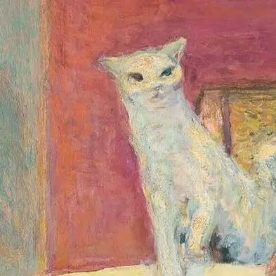 しろねこ