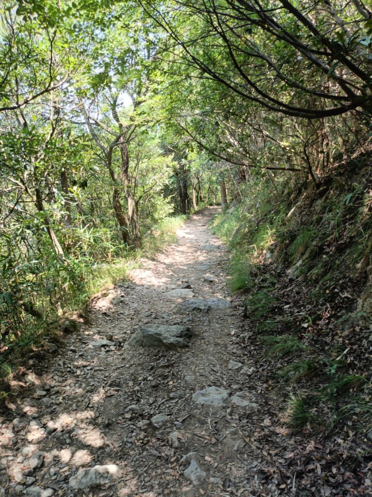 飯野山山道